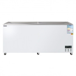 냉동쇼케이스 675리터